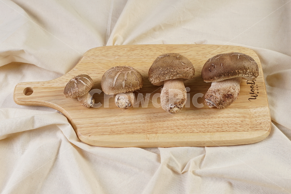 버섯,plant,식물,요리재료,재료,음식,버섯,mushroom,음식,식재료,요리,food,cook,meal,dishes,food reserves