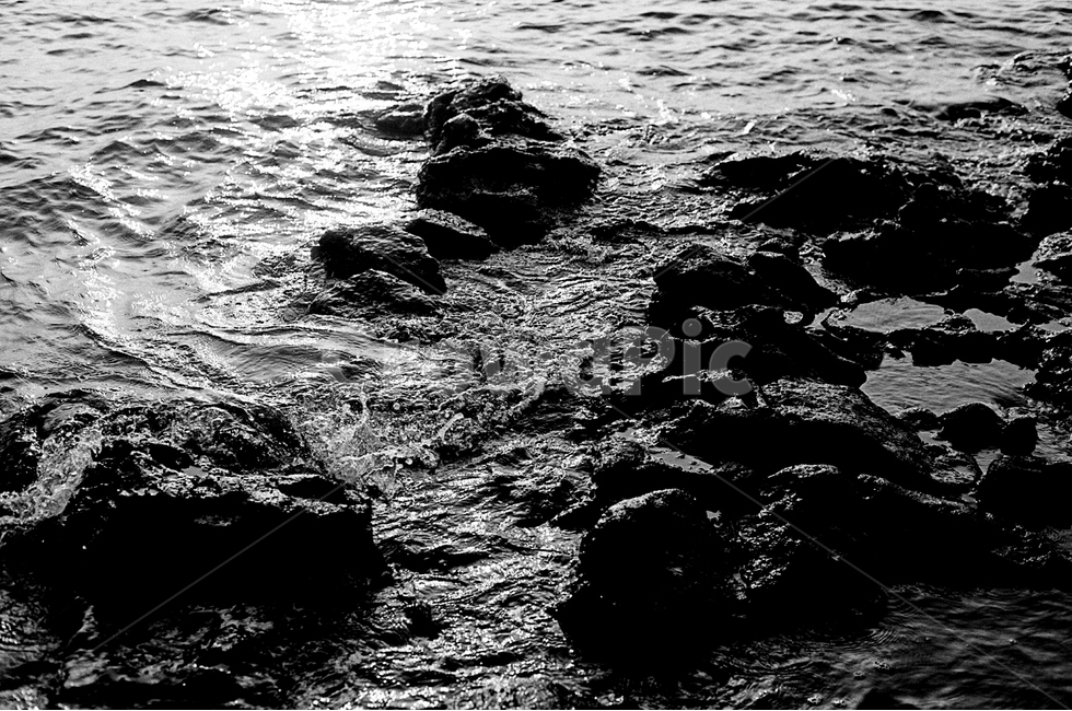 해변,바다,파도,sea,beach,자연,풍경,nature,landscape,해변,바다,beach,sea,흑백,모노톤,monochrome,black and white,ocean,대양,outdoors,옥외,water,물
