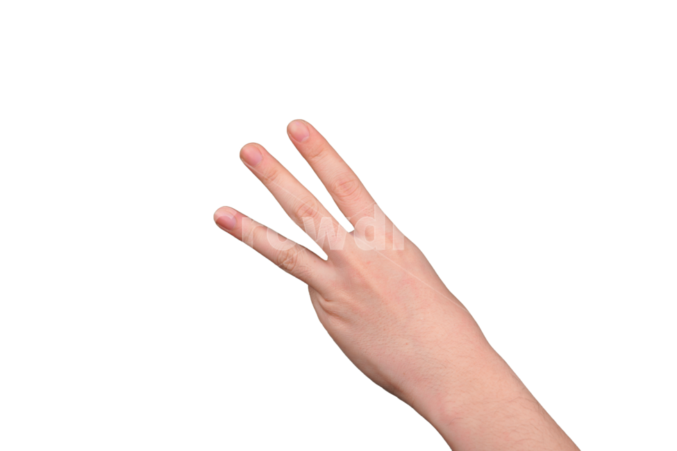 숫자,셋,3,손,손가락,표현,손동작,제스쳐,인간,손짓,사인,손목,사람,연출,표시,신체,신체일부,몸,body