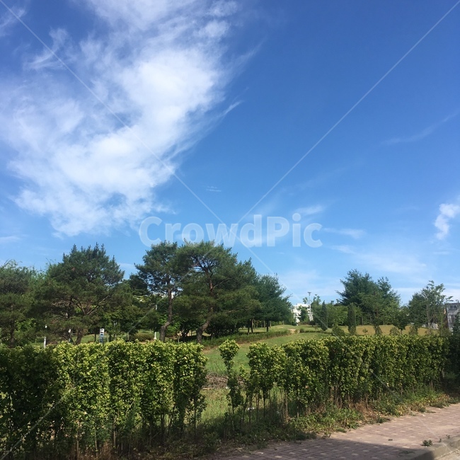 outdoors,자연,하늘,공원,맑은,맑은날,옥외,소풍,자연,풍경,nature,landscape