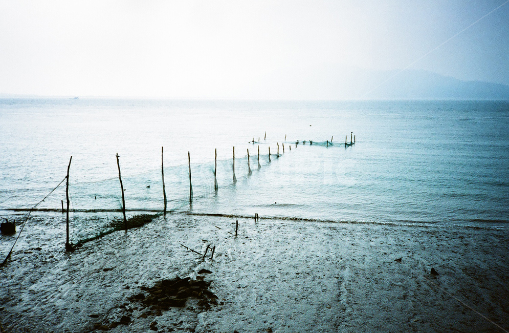 강화도,슬라이드필름,썰물,양식장,그물,자연,풍경,nature,landscape,water,물,waterfront,워터 프론트,port,포트,pier,교각