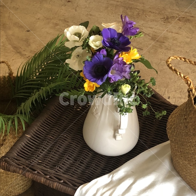 화병,꽃,인테리어,분위기,라탄,실내용화초,화분,화초,house plant