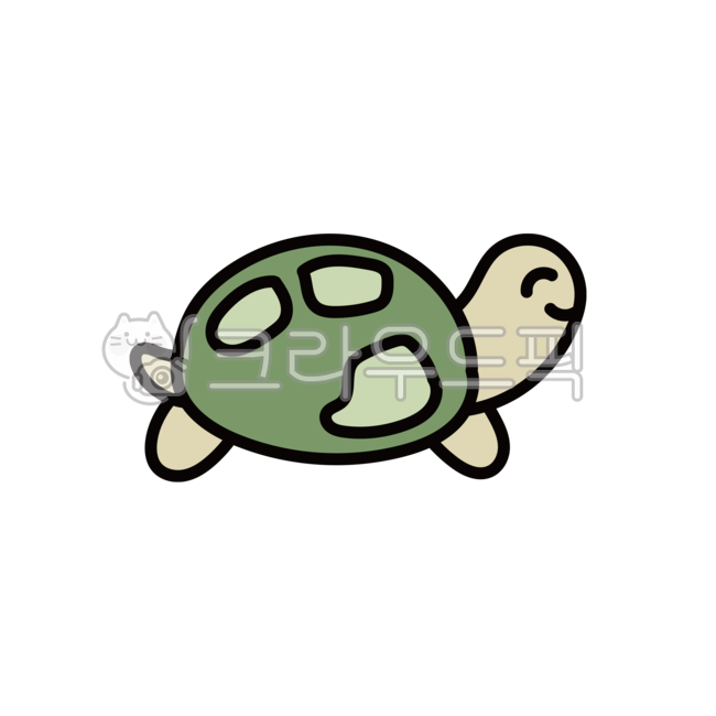 animal illustration,turtle png,turtle,animal