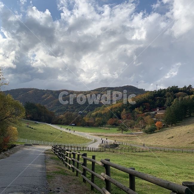가을,nature,자연,산,풍경,울타리,road,옥외,outdoors,가을,계절,fall,autumn,season,자연,풍경,nature,landscape,도로