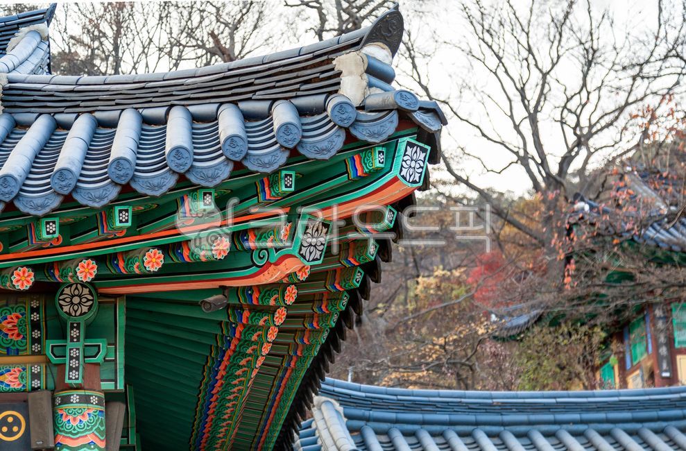 강화도,전등사,절,사찰,풍경,나무,건축물,건물