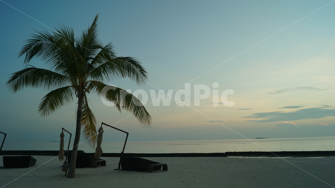 몰디브,해변,야자수나무,석양,휴양지,자연,풍경,nature,landscape,해변,바다,beach,sea,해외,외국,세계,foreign,oversea,world,세계자연풍경,해외자연풍경,외국자연풍경,world nature landscape,summer,여름