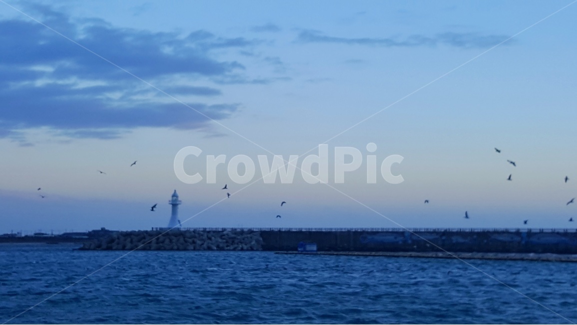 일출,노을,풍경,감성,제주,제주풍경,하늘,구름,자연,바다,자연,풍경,nature,landscape,등대,lighthouse,bird,새,animal,동물,architecture,건축물,building,건물,tower,탑