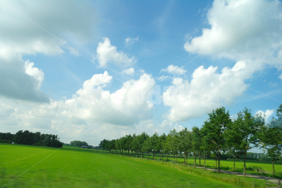 plant,식물,grass,잔디,outdoors,옥외,field,들,하늘,초원,자연,자연,풍경,nature,landscape