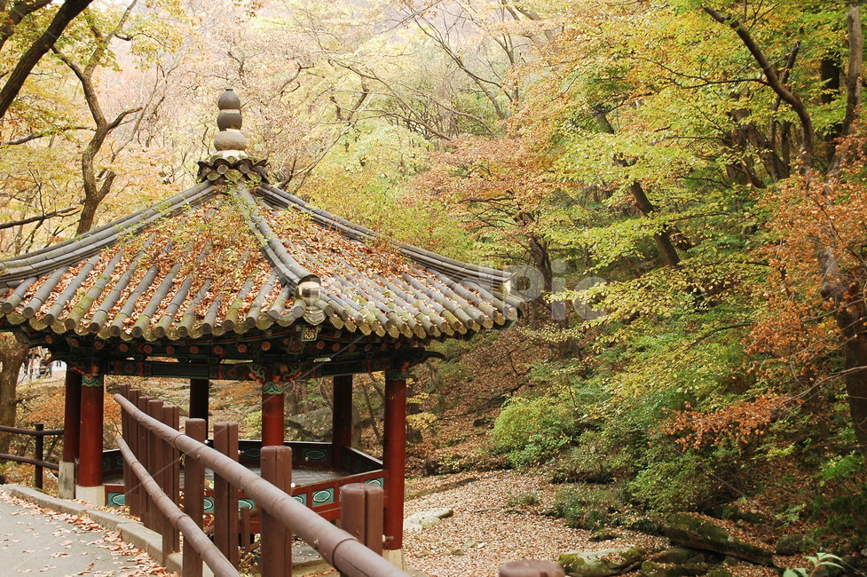 가을,단풍,낙엽,나뭇잎,단풍구경,단풍놀이,정자,쉼터,산,숲속,대전,동학사,절,가을,계절,fall,autumn,season,한국전통,한국문화,korean traditional,korean culture,건축물,건물외관,exterior,building,structure,architecture,construction,건물,temple,신전