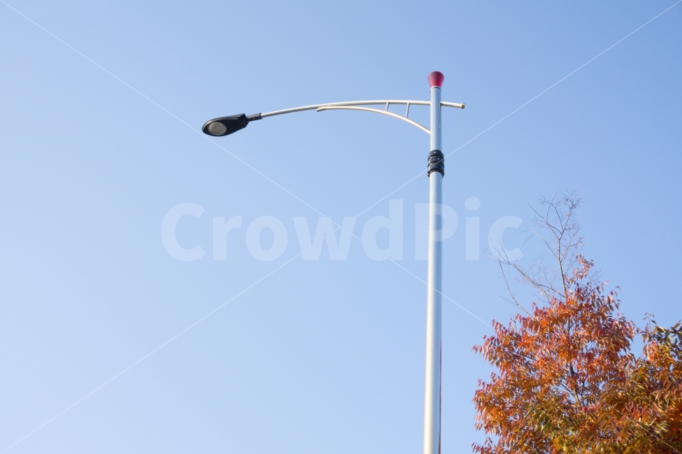 가로등,단풍나무,단풍,풍경,등,하늘,건축,도시,램프,빛,랜턴,자연,가을,잎,나무,계절,빨강,나뭇잎,식물,야외,가을,계절,fall,autumn,season