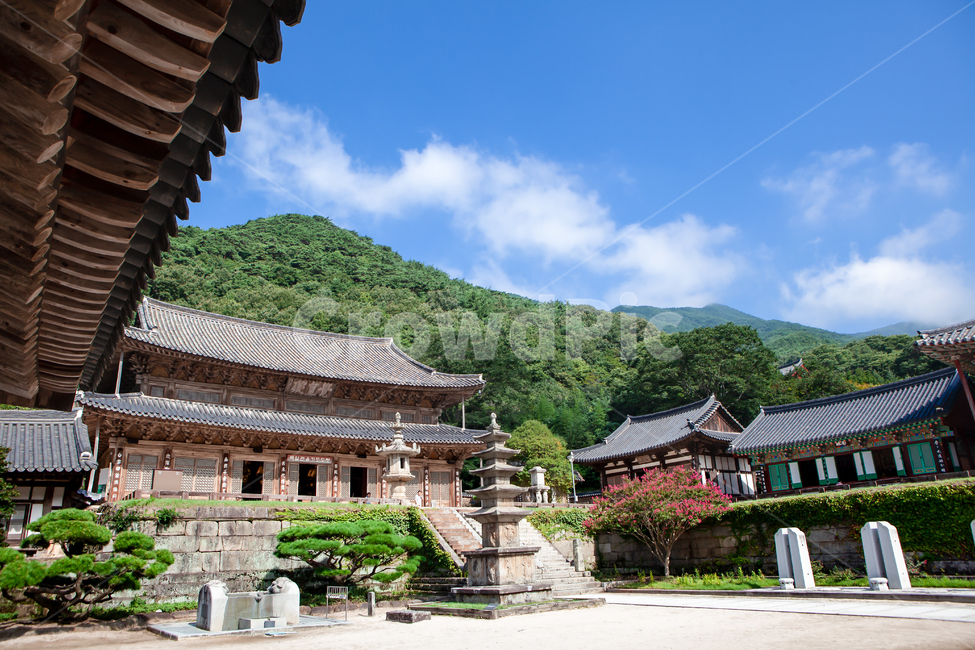건축,풍경,구례,화엄사,기와,처마,한옥,고찰,절,불교,나무,숲,산,단청,전통,천년고찰,돌계단,계단,문화,유산,유물,유적,탑,석탑,돌탑,화강암,종교,목조,목조건물,architecture,건축물,building,건물,temple,한국전통,한국문화,korean traditional,korean culture,종교,신앙,religion,belief,faith,건축물,건물외관,exterior,building,structure,architecture,construction
