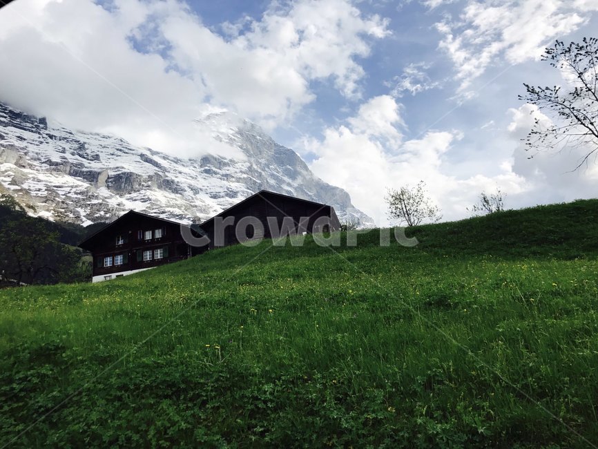 nature,outdoors,풀,산,field,들,grassland,집,스위스,스위스집,구름,산속,잔디,자연,스위스자연,자연풍경,들판,초록색,초록,옥외,목초지,자연,풍경,nature,landscape,해외,외국,세계,foreign,oversea,world,세계자연풍경,해외자연풍경,외국자연풍경,world nature landscape