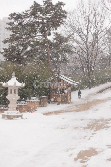 설경,흰눈,한국,배경,눈,야외,사찰,절