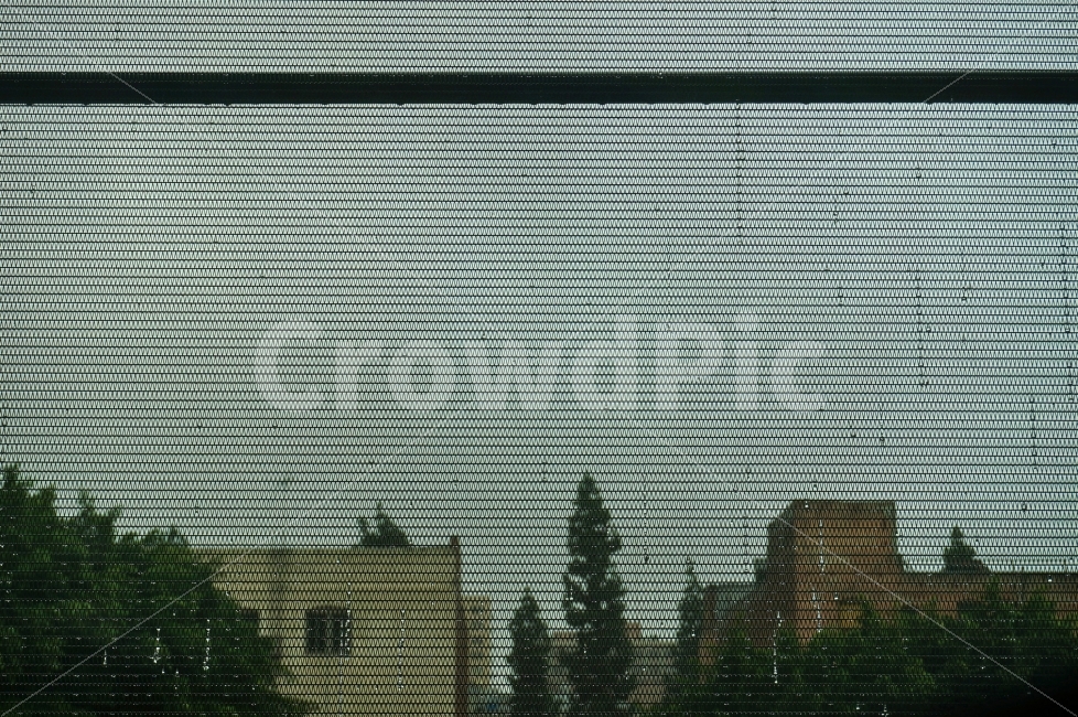 비,철조망,나무,빗방울,풍경,흐림,감성,주차장,Rain,SKy,Tree,ParkingLot,OutSide,Landscape,WireNetting,Nobody,비,비오는날,rain,rainy,도시,풍경,city,landscape,해외,외국,세계,foreign,oversea,world