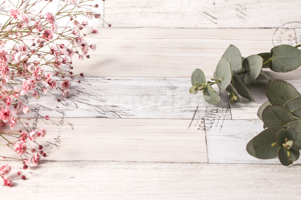 꽃,꽃송이,핑크,핑크꽃,꽃잎,안개꽃,배경화면,유칼립투스,꽃,flower