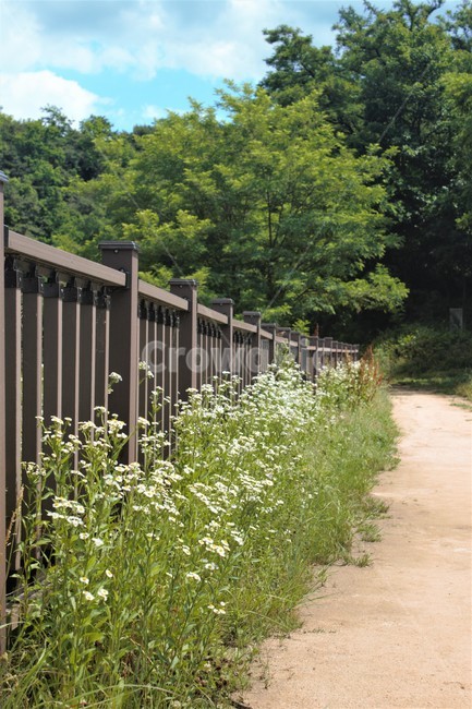 길,하늘,구름,숲,공원,시골길,휴식,힐링,난간,녹색,여름,날씨,summer,healing,green,파랑,흰색,blue,white,grass,풀,잡초,weed,tree,나무,forest,cloud,sunny,낮,nobody,풍경,landscape