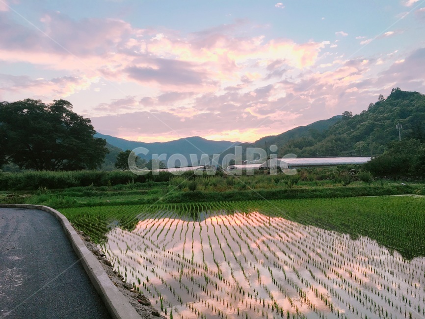 노을,석양,하늘,풍경,밭,논,시골,나무,산,자연,풍경,nature,landscape,paddy field,패디 필드,grassland,목초지,outdoors,옥외,field,들