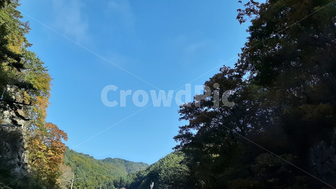 가을풍경,단풍,산행,나무,하늘,숲,풍경,자연,tree