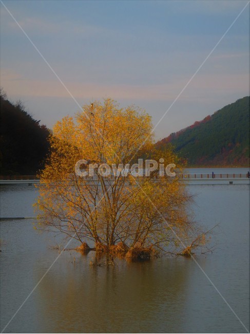 대구,송해공원,풍경,반영,reflection,가을,daegu,명소,landscape,autumn,옥연지,달성군,저수지,artistic,hotplace,자연,natural,감성,기념공원,park,가을,계절,fall,autumn,season,자연,풍경,nature,landscape,water,물,outdoors,옥외