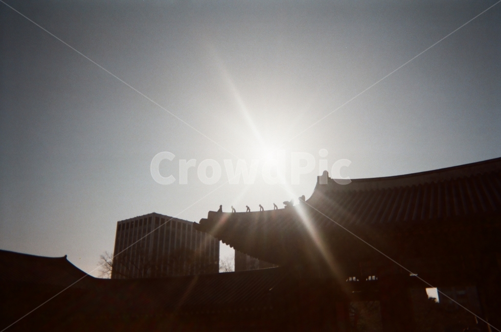 빛,light,궁,햇빛,하늘,sunlight,sky,풍경,필름,film,겨울,winter,밝은