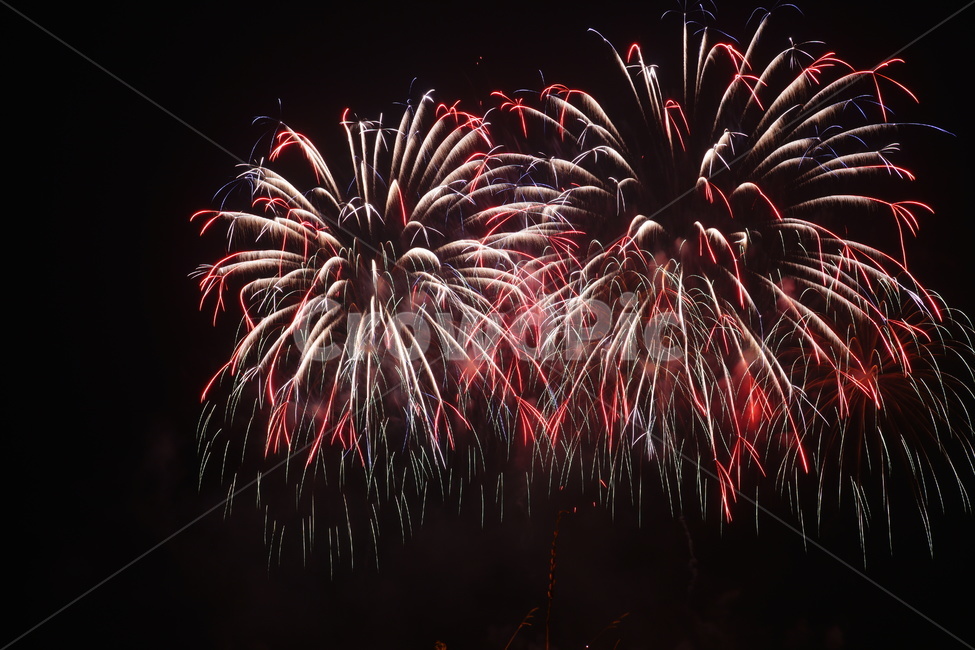 불꽃,야경,불꽃축제,풍경,축제