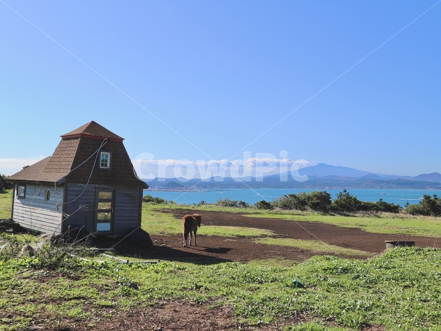 nature,outdoors,옥외,housing,주택,제주,제주도,말,풍경,자연,배경