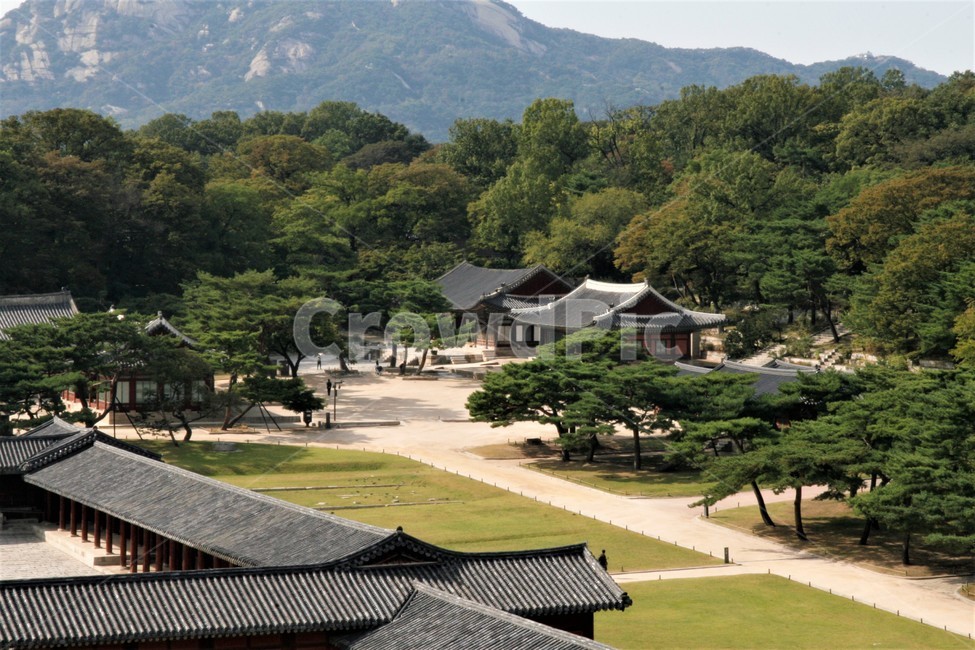 창경궁,전통,고궁,가을,풍경,한국전통,한국문화,korean traditional,korean culture,랜드마크,landmark,tourist attraction,한국랜드마크,한국관광지,한국명소,korea landmark,korea tourist attraction,건축물,건물외관,exterior,building,structure,architecture,construction
