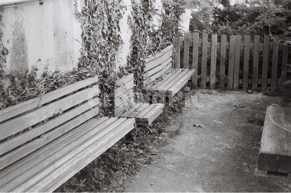 필름카메라,감성사진,흑백,흑백사진,선유도,자연,풍경,nature,landscape,흑백,모노톤,monochrome,black and white,park bench,공원 벤치,bench,벤치