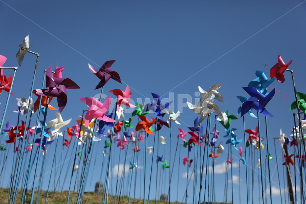 파주,임진각,평화누리공원,바람개비,바람의언덕,pinwheel,사물,물건,오브젝트,thing,object,matter