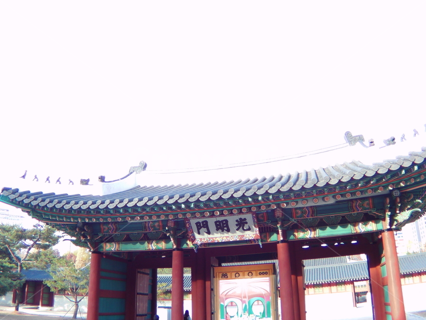 덕수궁,한옥,덕수,궁궐,조선,조선시대,건축,건축물,한국,조선건축물,기와집,기와,서까래,문,대문,기둥,나무집,목조,목조건물,목조집,나무로만든,나무의,재질,유네스코,유산,문화,역사