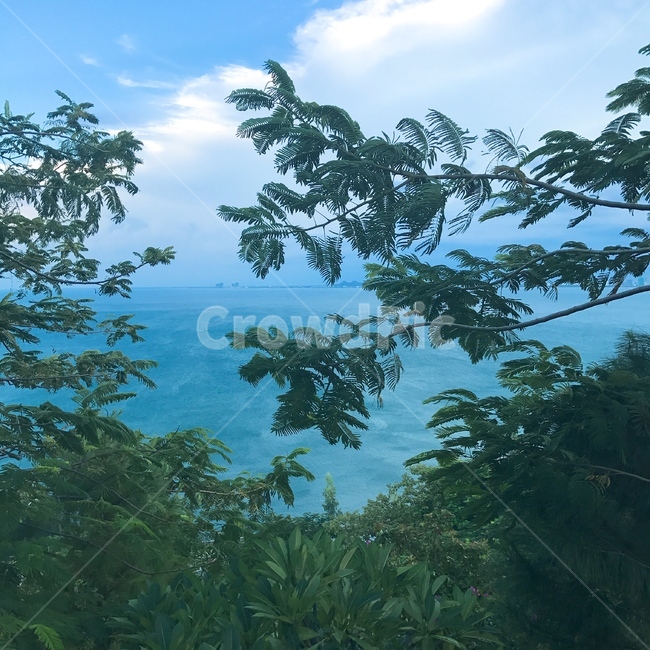 하늘,구름,나무,바다,sky,cloud,trees,sea