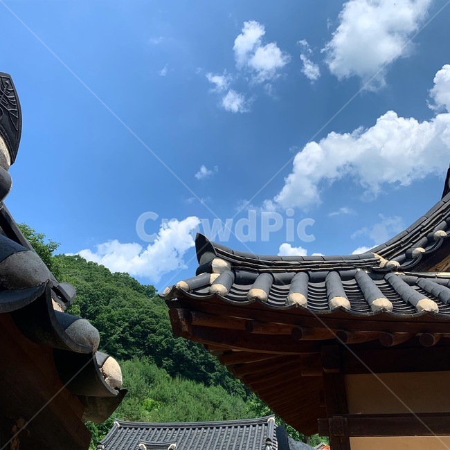 roof,지붕,하늘,한옥,풍경,한국,한국전통,한국문화,korean traditional,korean culture