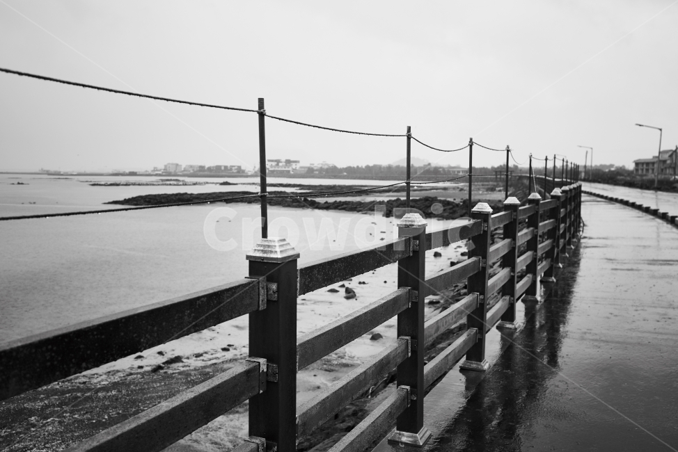 제주도,길,흑백사진,길거리,감성사진,흑백,모노톤,monochrome,black and white