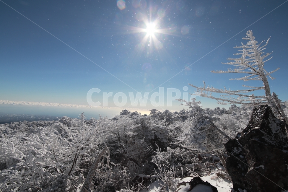 한라산,상고대,설산,겨울,겨울산행,눈꽃,진달래대피소,성판악,관음사,제주도,제주,백록담,겨울,계절,winter,season,자연,풍경,nature,landscape,한국자연풍경,한국자연경관,korea nature landscape,제주도,jeju,jeju island,ice,얼음,outdoors,옥외,snow,눈