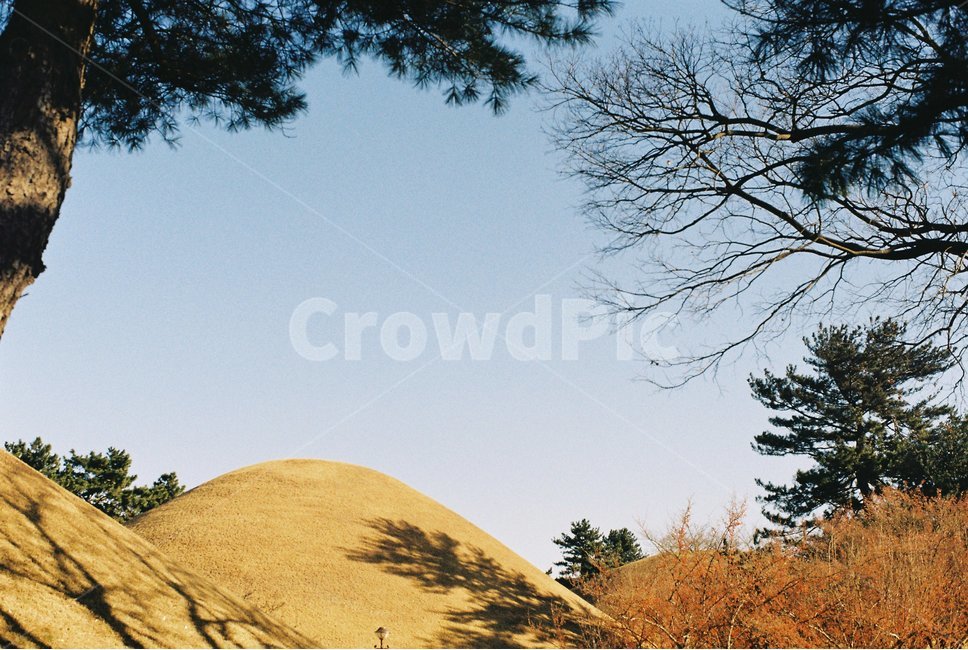 경주,자연풍경,대릉원,경주대릉원,무덤,전통,그림자,가을,season,fall,autumn,shadow,한국전통,한국문화,korean traditional,korean culture,랜드마크,landmark,tourist attraction,한국랜드마크,한국관광지,한국명소,korea landmark,korea tourist attraction
