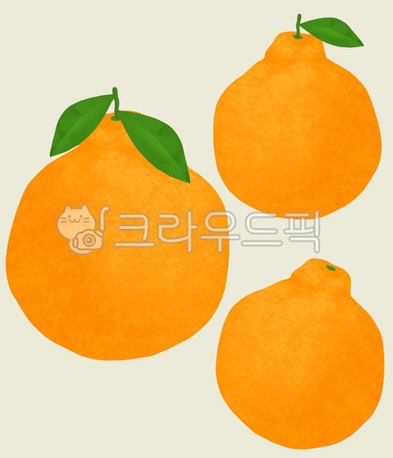 과일,과일일러스트,음식,음식일러스트,푸드일러스트,열매,비타민c,한라봉,제주특산물,특산품,특산물,감귤류,제주도,제주,한라봉일러스트