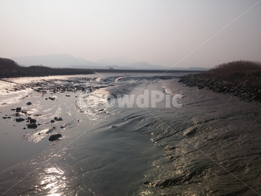 자연,갯벌,바다,생물,뻘,자연,풍경,nature,landscape