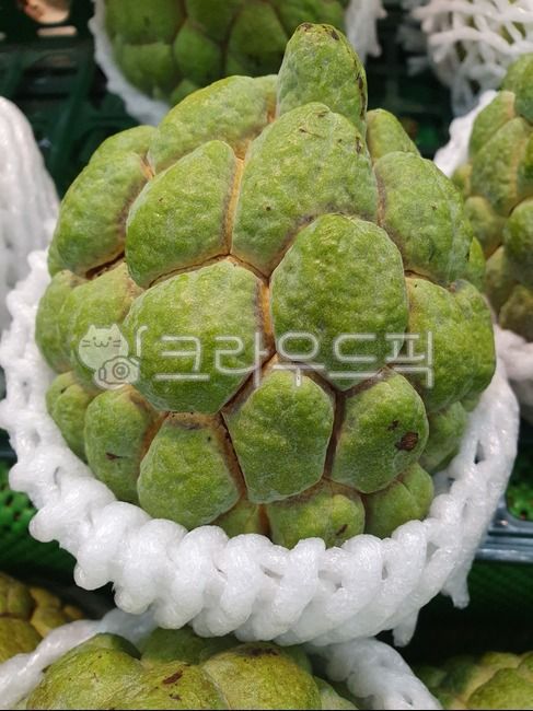 과일,석가,fruit,음식,열대과일