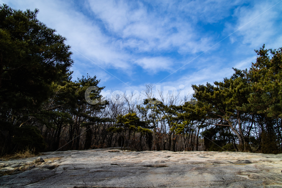 자연,소나무,풍경,산,하늘,파랑,파란색,나무,바위,돌,구름,landscape,nature,검정,녹색,black,green,blue,white,흰색,stone,rock,자연,풍경,nature,landscape,tree,plant,식물,tree trunk,나무 줄기