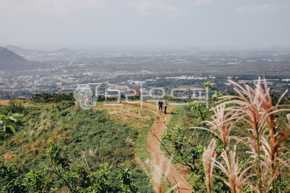 제주오름,제주도오름,군산오름,오름,제주,자연,산,등산,등반,자연,풍경,nature,landscape