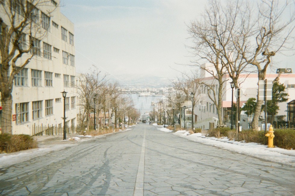 하코다테,일본,도로,walkway,눈,겨울,필름카메라
