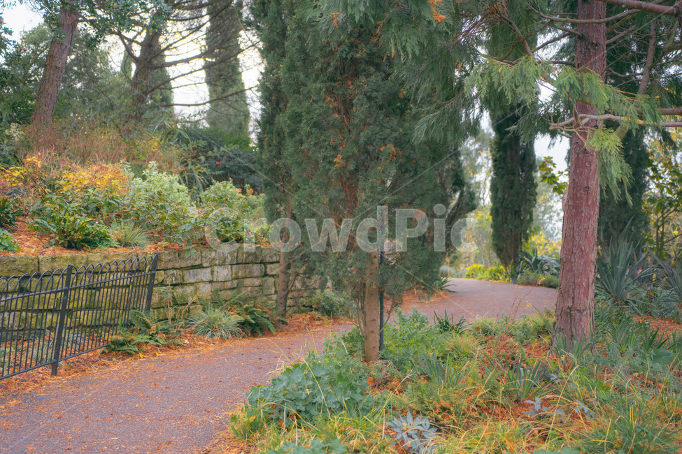 런던,공원,산책,가을,식물,봄,자연,풍경,리젠트공원,리젠트파크,london,regentpark,regentpark