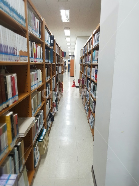 도서관,책,책들,공부,독서,교육,학교,공부,education,learning,study,school