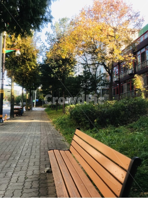 벤치,가을,낙옆,감성,보도,가을,계절,fall,autumn,season,furniture,가구,path,통로,bench,walkway