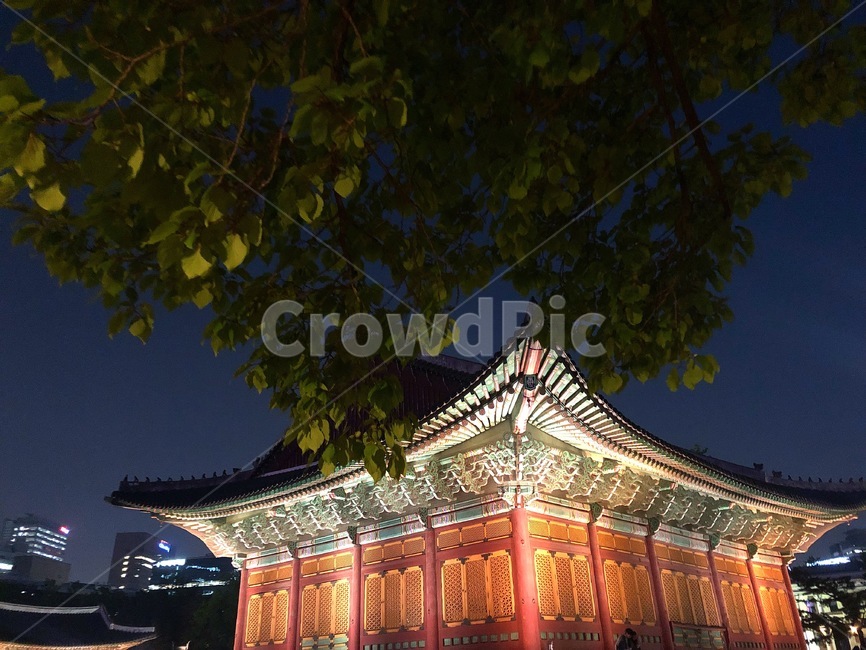 덕수궁,야경,궁궐,궁,korea,seoul,서울,한국,랜드마크,landmark,화려한,아름다운,한국적인,전통적,밤