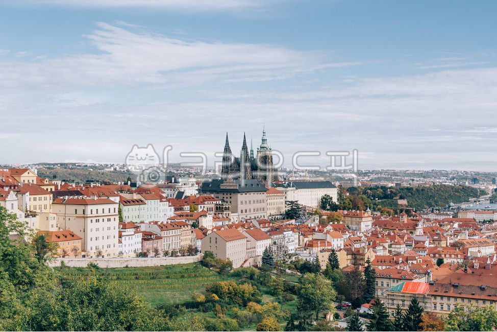 Czech Republic,orange roof,gothic style,Prague Castle,Cathedral,vacation,Middle Ages,europe,european autumn,Prague