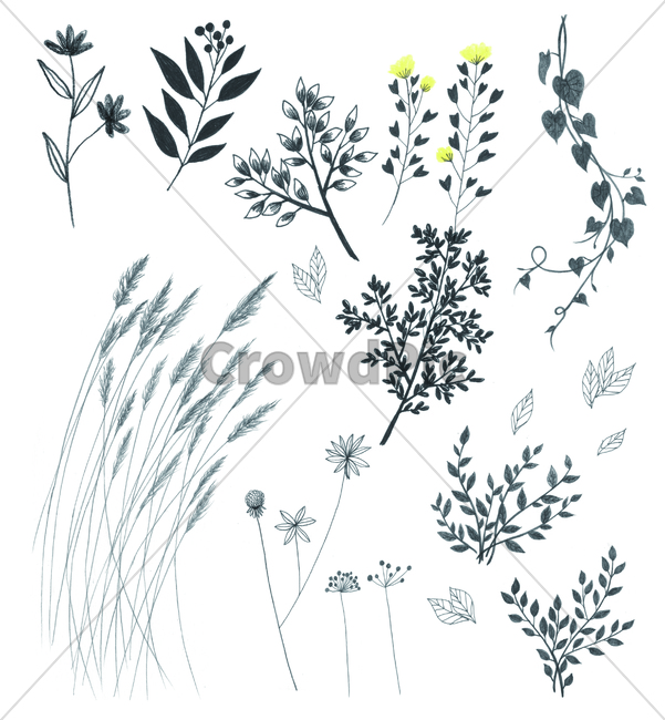 손그림,handdrawing,연필,pencil,연필라인,pencilline,연필그림,pencilpicture,꽃,flower,bloom,blossom,나뭇잎,leaf,foliage,umbrage,나뭇가지,bough,twig,sprig,branch