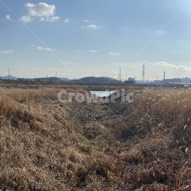 바닥,ground,강가,풍경,풀숲,river