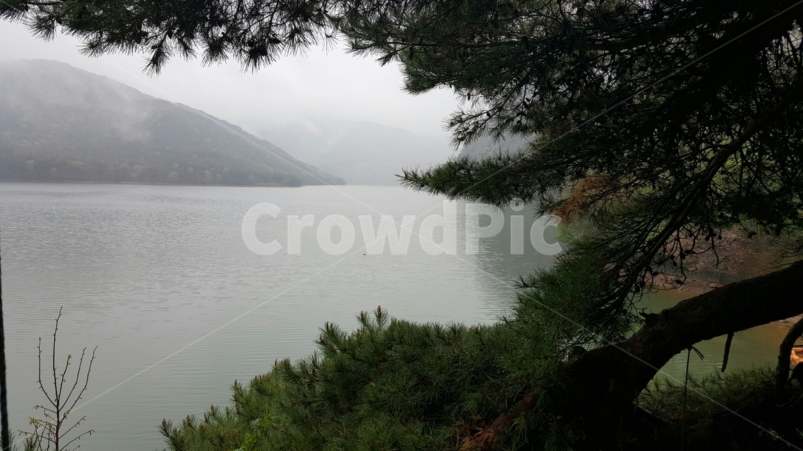 나무,바다,산,물,구름,자연,풍경,nature,landscape,water,outdoors,옥외