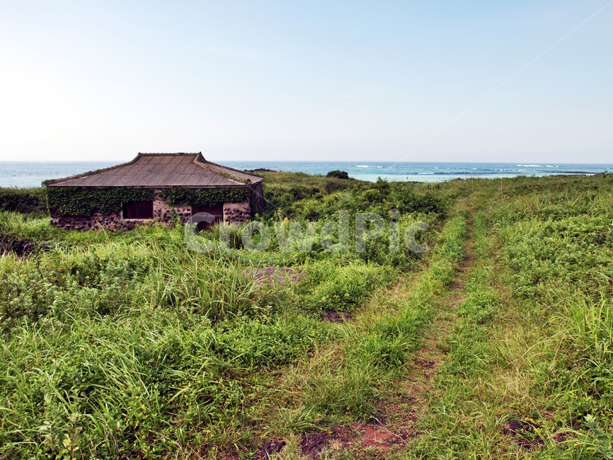 민가,폐가,제주,올레20코스,올레,잡초,농로,제주도,jeju,jeju island,건축물,건물외관,exterior,building,structure,architecture,construction,nature,자연,outdoors,옥외,건물